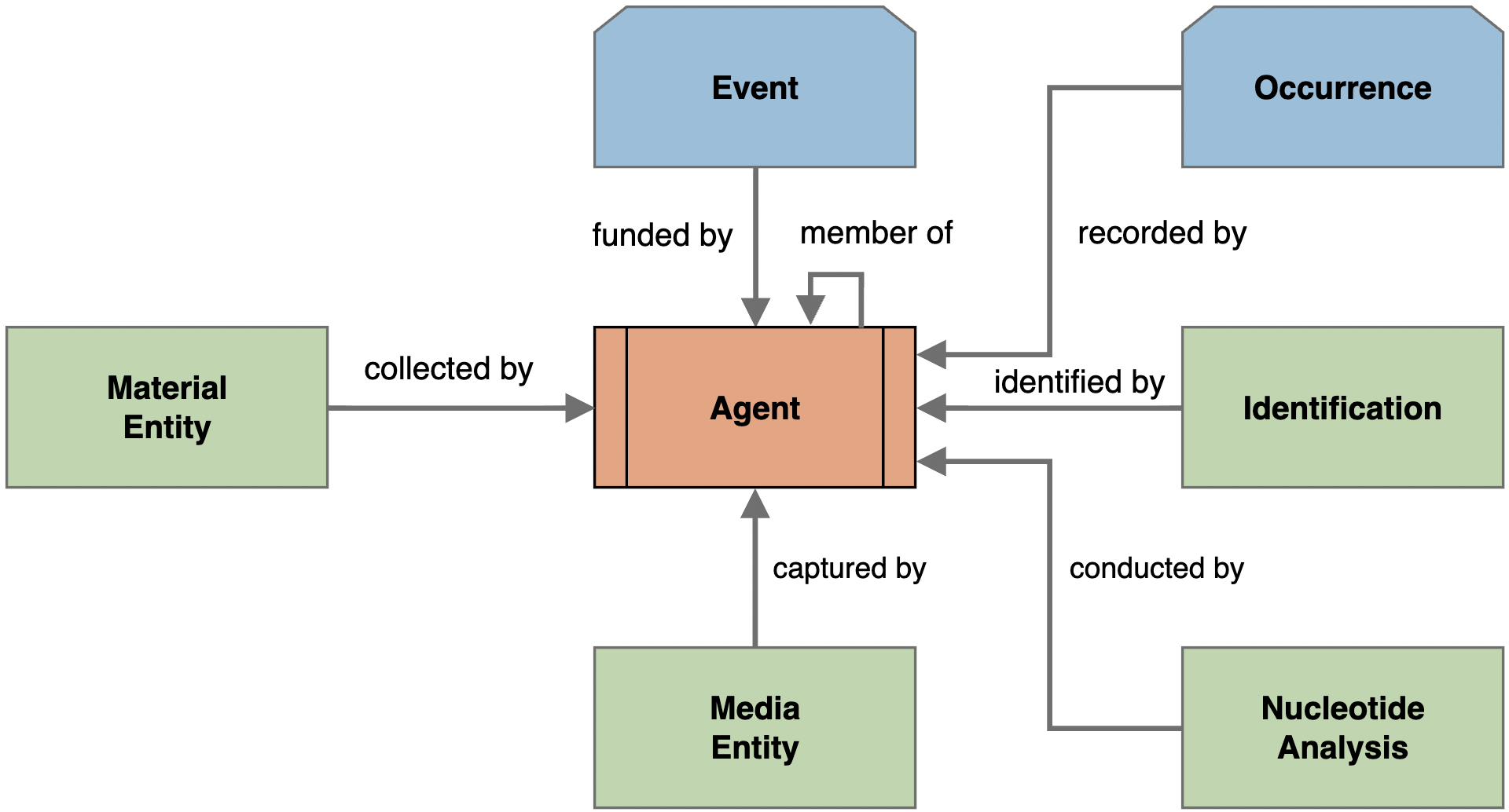 Agent Conceptual Model
